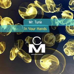 Dengarkan In Your Hands (Original Mix) lagu dari Mr. Tune dengan lirik