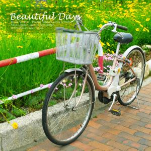 Listen to Beautiful Days song with lyrics from 전수빈