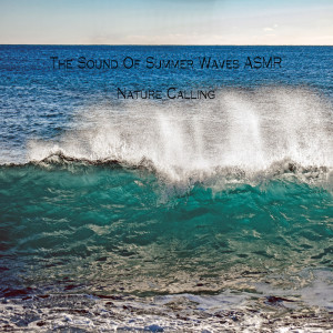 The Sound Of Summer Waves ASMR