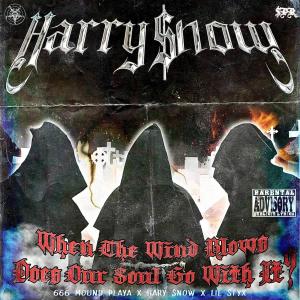收聽Harry $now的WHEN THE WIND BLOWS DOES OUR SOUL GO WITH IT (Explicit)歌詞歌曲
