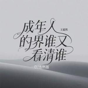 Album 成年人的世界谁又看清谁 (DJ浩然版) from 王超然