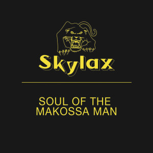 Various Artists的專輯Soul of the Makossa Man