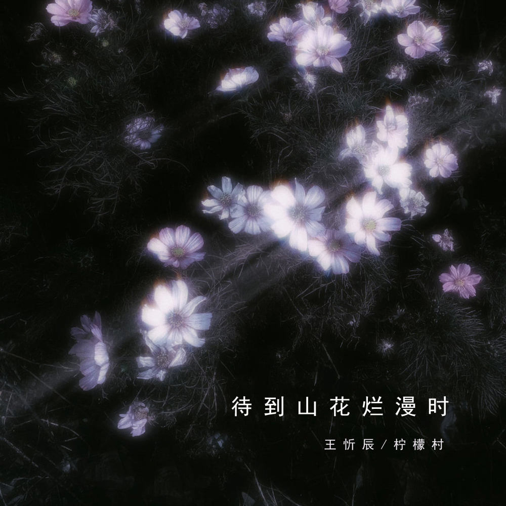 待到山花烂漫时 (伴奏)