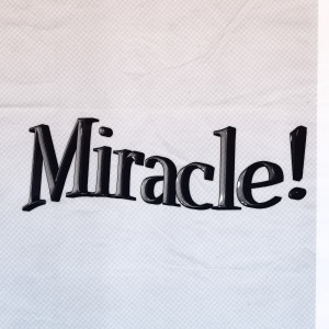 Lym en的專輯Miracle (feat. ROMderful)