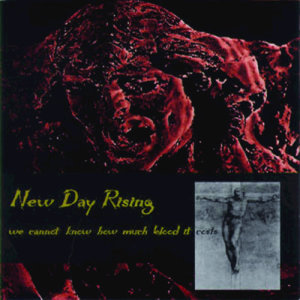 收聽New Day Rising的Wasted Masses歌詞歌曲