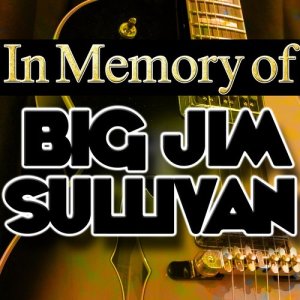 Big Jim Sullivan的專輯In Memory of Big Jim Sullivan