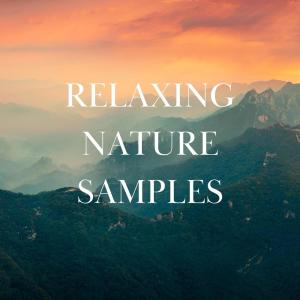 Listen to Rain on Tent song with lyrics from Hi Freq Samples