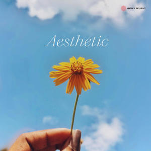 อัลบัม Aesthetic ศิลปิน A.R. Rahman