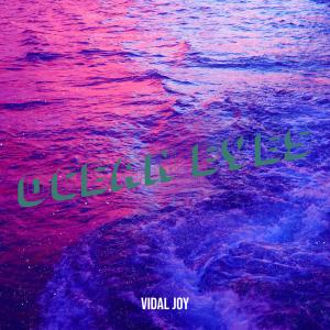 Album Ocean Eyes (Explicit) from Vidal Joy