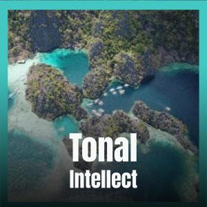 Listen to Tonal Intellect song with lyrics from Metin Weon