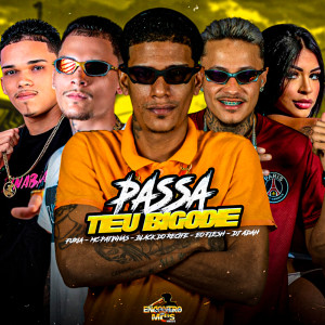 Album PASSA TEU BIGODE (Explicit) from Mc Patinhas