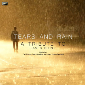 收聽Ameritz Tribute Club的Tears and Rain歌詞歌曲