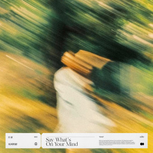 Album Say What's On Your Mind from Karim