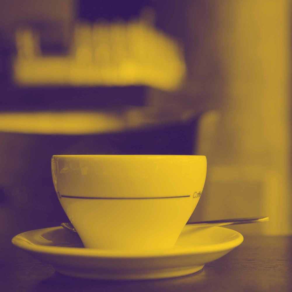 Distinguished Ambiance for Soothing Monday