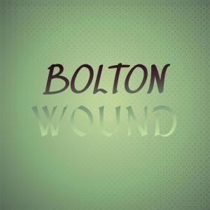 Various的专辑Bolton Wound