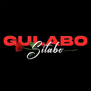 Album Gulabo Sitabo from 