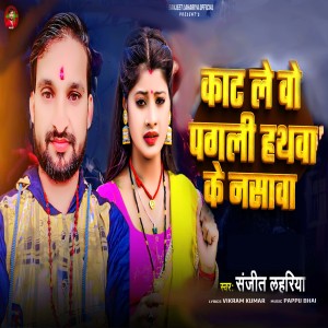 Listen to Kat Lebo Pagali Hathwa Ke Naswa song with lyrics from Sanjeet Lahariya