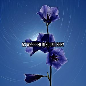 อัลบัม 53 Wrapped In Sound Baby ศิลปิน Nature Sound Series