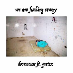 Dengarkan lagu We Are ******* Crazy nyanyian Doormouse dengan lirik