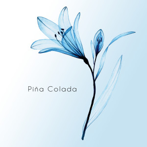 收聽Ruan的Piña Colada歌詞歌曲