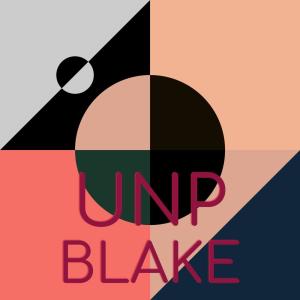 Various Artists的專輯Unp Blake