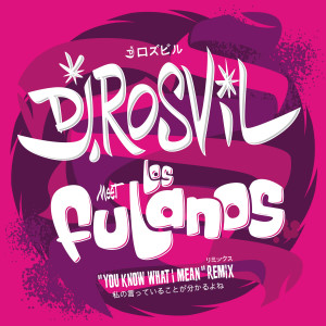 ดาวน์โหลดและฟังเพลง You Know What I Mean (Dj Rosvil Bonus Drums) พร้อมเนื้อเพลงจาก Los Fulanos