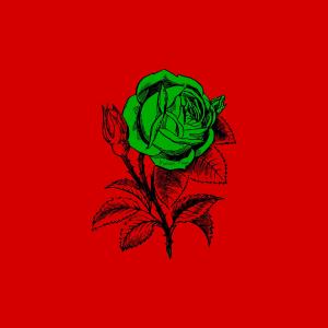 Listen to Stone Cold Lover song with lyrics from Michael Mayo