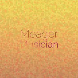 Various Artists的專輯Meager Musician