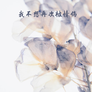 收聽毛阿敏的我不想再次被情傷歌詞歌曲