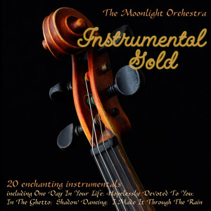 收听The Moonlight Orchestra的Don't It Make My Brown Eyes Blue歌词歌曲