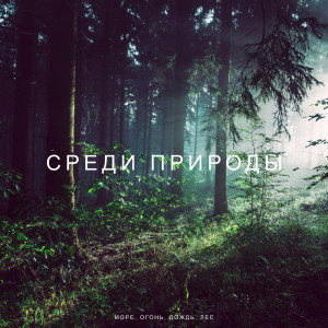 Album Среди природы (Море, Огонь, Дождь, Лес, Неповторимый сон и наполнения гармонией, Заживление чакр, Медитация, Йога, Повышение фертильности, Музыка для беременных) from Разные исполнители