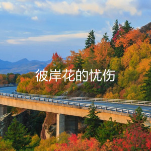 收听小生很忙的彼岸花的忧伤 (伴奏)歌词歌曲