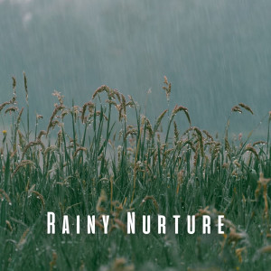 อัลบัม Rainy Nurture: Brown Noise for Baby's Comfort ศิลปิน Brown Noise Baby Sleep