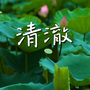 Album 清澈 from 艺博