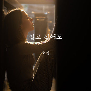 Listen to 잊고 싶어도 song with lyrics from 소영