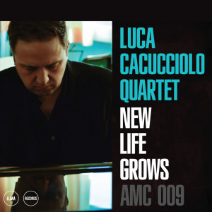收听Luca Cacucciolo Quartet的Sgramma歌词歌曲
