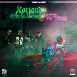 收聽Lamelodiadelhampa的Amor del Hampa (Explicit)歌詞歌曲