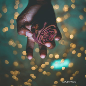 Album Gold Rose from Kokoro
