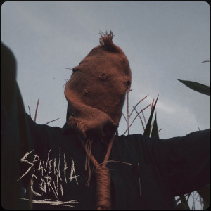 Album SPAVENTACORVI (Explicit) from Your Grave