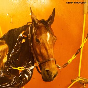 ดาวน์โหลดและฟังเพลง Fuchsia Filter พร้อมเนื้อเพลงจาก Stina Francina