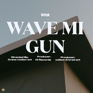 Krityk的專輯Wave Mi Gun (Explicit)