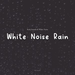 Rain Sounds & White Noise的專輯White Noise Rain