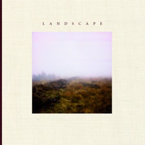 Dengarkan If You Wanted lagu dari Landscape dengan lirik