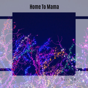 Album Home To Mama Best 22 from Various
