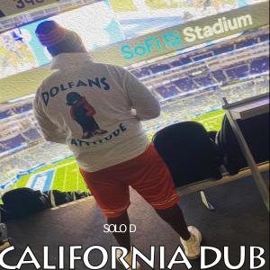 Miami Dolphins California Dub (feat. SoLo D) dari Solo D