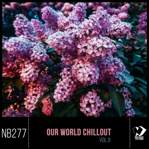 Dengarkan lagu Traveler (Original Mix) nyanyian SolarFlow dengan lirik