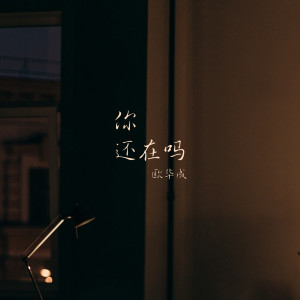 Album 你还在吗 from 欧华成