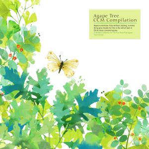 收听Flower of love的Help Me歌词歌曲