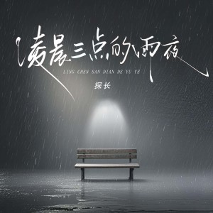 Album 凌晨三点的雨夜 from 探长