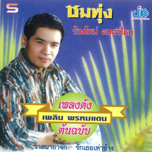 ดาวน์โหลดและฟังเพลง รักเธอเท่าช้าง พร้อมเนื้อเพลงจาก เพลิน พรหมแดน